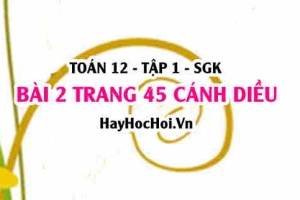 Bài 2 trang 45 Toán 12 tập 1 Cánh Diều
